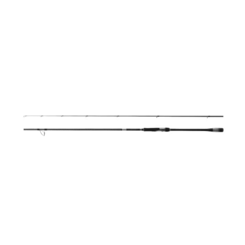 Shimano Kamış Lunamis Spinning 2,90m 9'6