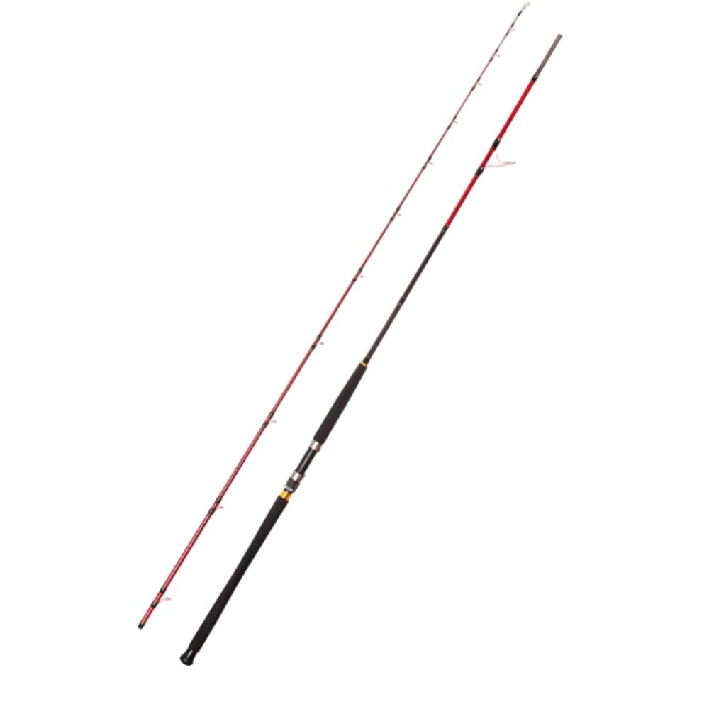 Caretta Vector 2.95 m 40-120 g Shore Jig Rod