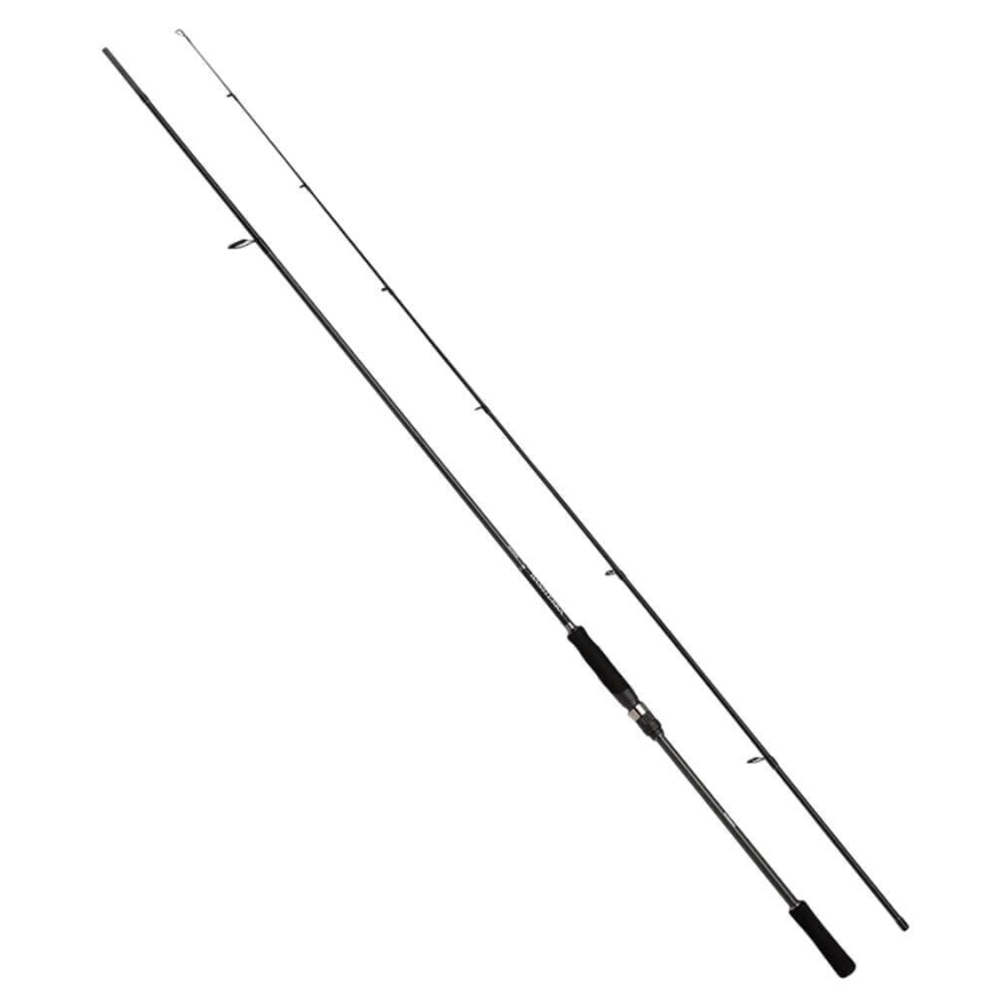 Shimano Bassterra A Seabass Spinning 2,13m 7'0