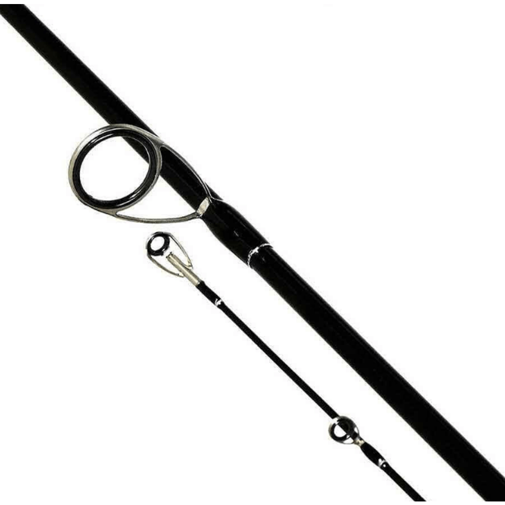 Shimano Bassterra A Seabass Spinning 2.44m 8'0