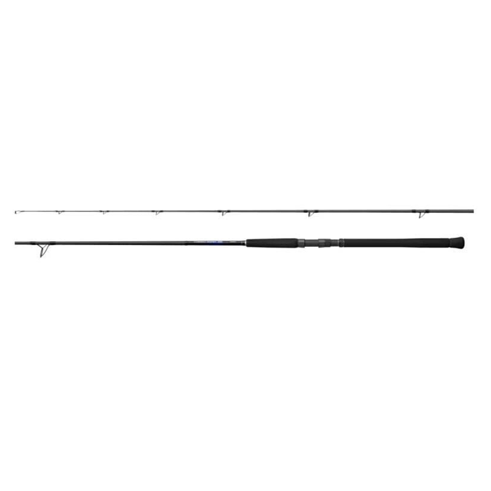 Shimano Currentsniper BB S100H 3,05m 10'0