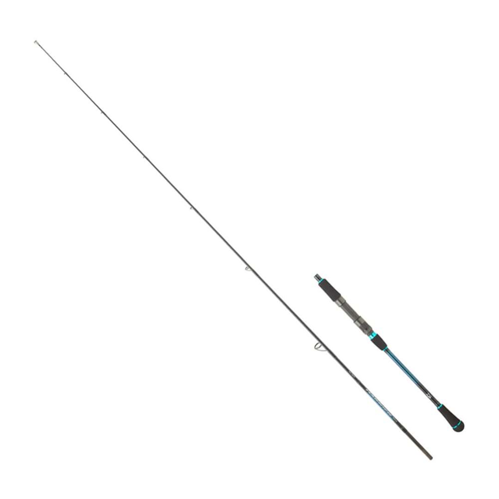 Daiwa Harrier Jigging CA 1.91M 1+1 100-300GR Jig Kamış (Tetikli)