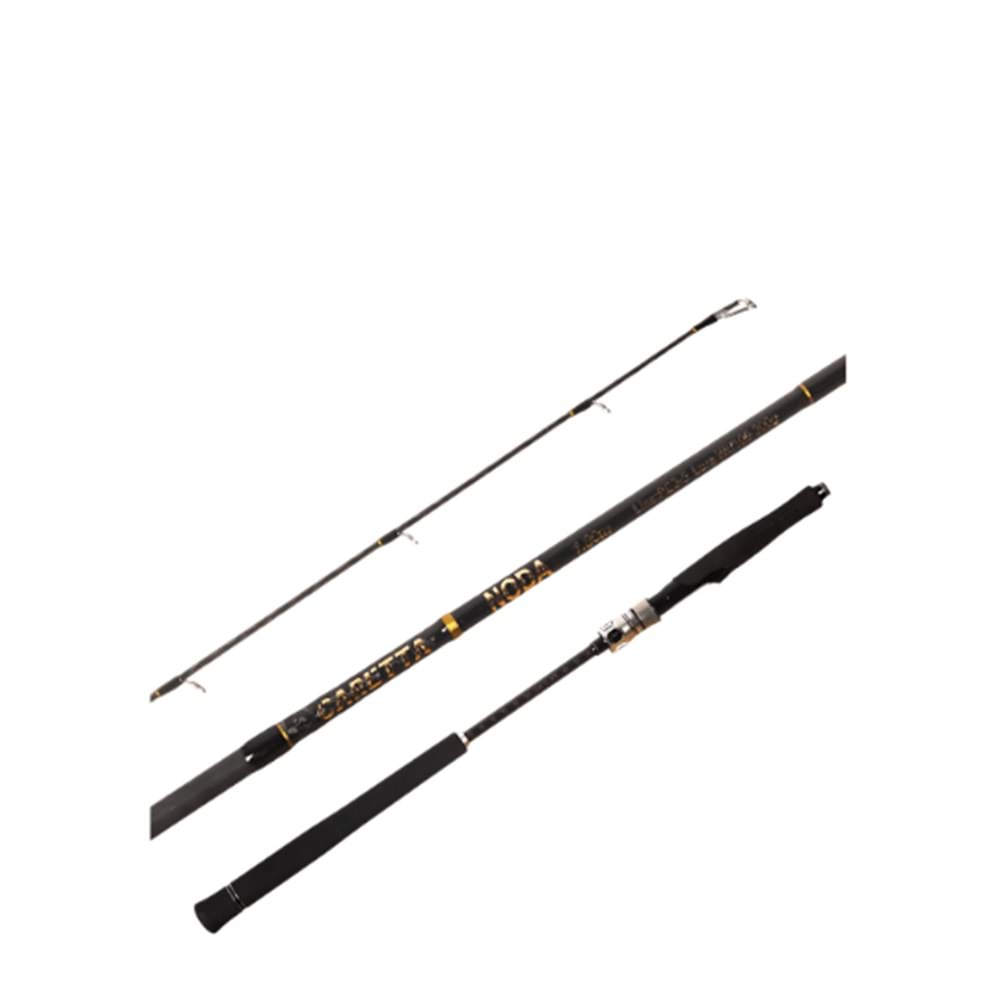 Caretta Noda CS 1.95 cm 40-150gr Spinning Slow Jig Kamışı