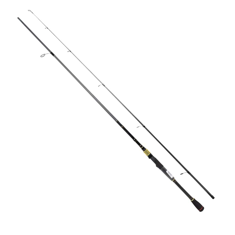 DAIWA RS 2.34M 2-8GR 2P KAMIŞ
