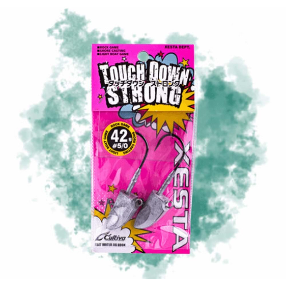 XESTA TOUCH DOWN STRONG JIGHEAD
