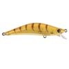 LM200-HONEY SHRIMP