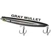 GRAY MULLET