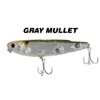 GRAY MULLET