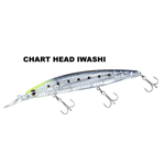 CHART HEAD IWASHI