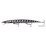 BARRACUDA PHP