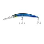CLASSIC SARDINE