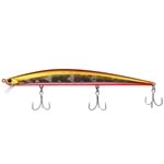 APRICOT RED BELLY