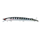 BARACUDA HD