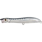 SUN SPRAT