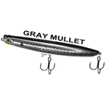 GRAY MULLET