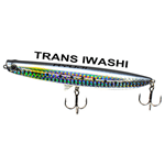 TRANS IWASHI
