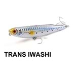 TRANS IWASHI