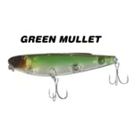 GREEN MULLET