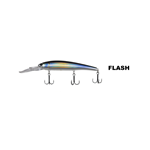 FLASH