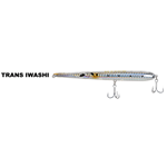 TRANS IWASHI