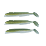 NATURE EEL