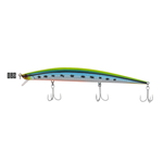 082 ANGRY SARDINE
