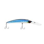 143 SARDINE