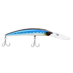 143 SARDINE