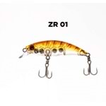 ZR01