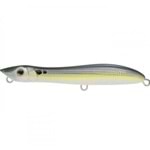 GIZZARD SHAD