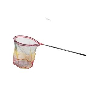Sea Horse Kepçe 2.5*60 Renkli
