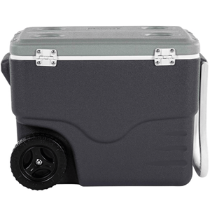 Coleman Daintree Personal Wheeled Hard Cooler Tekerlekli Soğutucu Buzluk 38 Lt