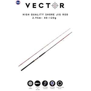 Caretta Vector 2.95 m 40-120 g Shore Jig Rod