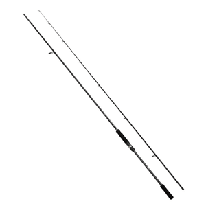 Shimano Bassterra A Seabass Spinning 2,90m 9'6