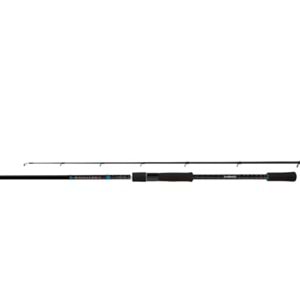 Shimano Kamış Bassterra 2,44m 8'6