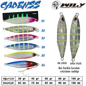Wily Cadenss Jig 60 gr 82 mm