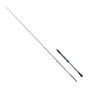 Daiwa Harrier Jigging 1.88M 1+1 60-120GR Jig Kamış