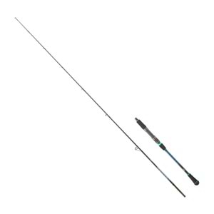 Daiwa Harrier Jigging CA 1.91M 1+1 40-160GR Jig Kamış (Tetikli)