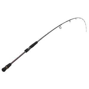 Daiwa Infeet Seabass 2.44m 7-28gr 2P Kamış