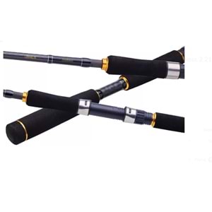 Daiwa Legalis Seabass 2.21m 28-84gr 1+1 Kamış