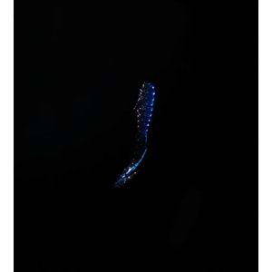 Spiinx Crazy Tail Kuyruk 7.5CM 10P Silikon Yem - BLUE SILVER