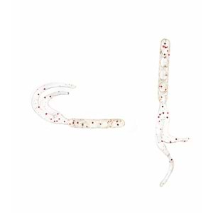Spiinx Bendura 9,5CM 5P Silikon Yem - CLEAR SECRET GLOW