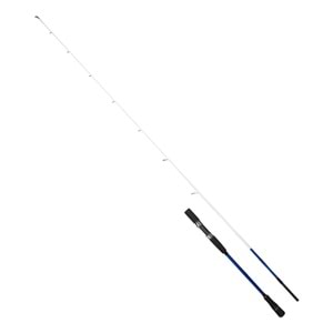 Ryuji Bıg Game Fuji P2.03m 60-140gr 2p Jig Kamış