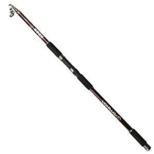 Remixon Red Fire 3.00m 50-100gr Kamış