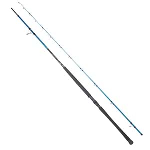 RYUJI SHORE GAME FUJI KW 2.95M 30-100GR 2P SHORE JIG KAMIŞ