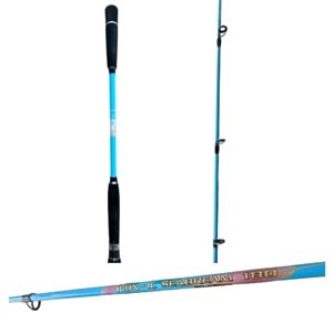 ICON-IC Seabream 150 CM 30-160 GR Tekne Kamışı