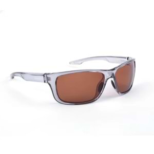 Shimano Eyewear Sunglasses Antares Transparent Grey & Copper