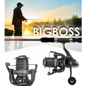 Seagame Big Boss FD-127000 Metal Kafa 11+1 SS Rulman