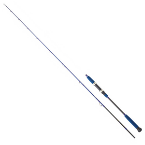 Daiwa Legalis Oceano 193 cm 180 gr 2 Parçalı Jig Kamışı