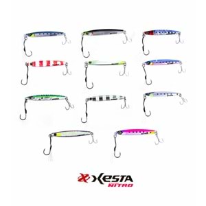 Xesta Casting Nitro 40 gr Jig Yem
